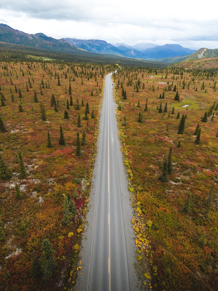 Services Aerial view of a highway cutting through vibrant fall foliage in Healy, Alaska, with mountains in the distance.