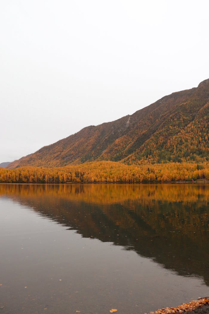 About Vibrant autumn foliage reflecting on a serene lake in Alaska.